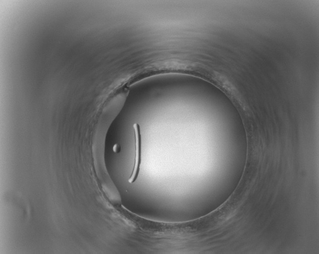 X0000058140625200509302019