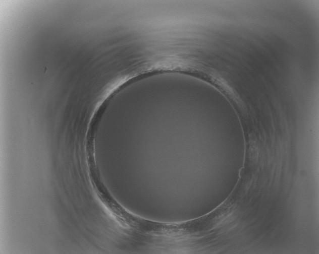 X0000058140626200509302019