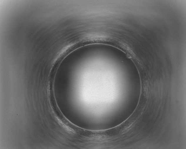 X0000058140629200509302020