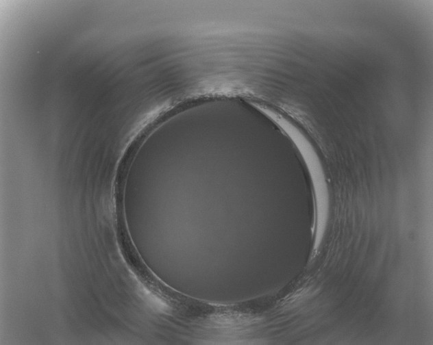 X0000058140630200509302020