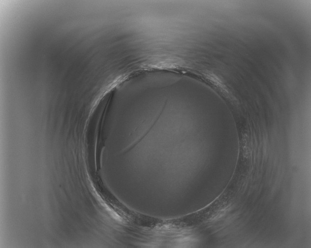 X0000058140634200509302020