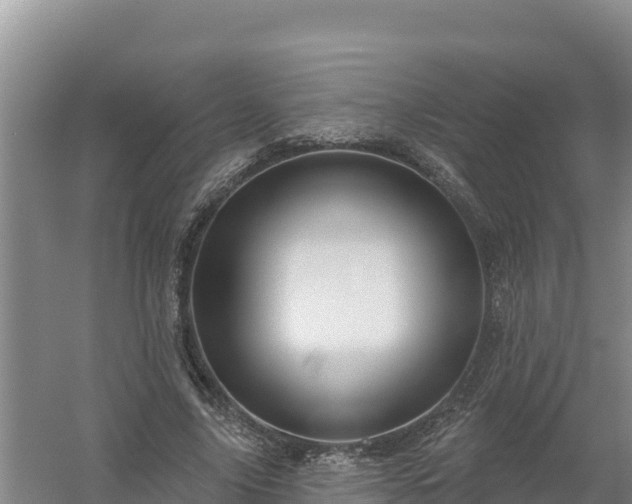 X0000058140635200509302020