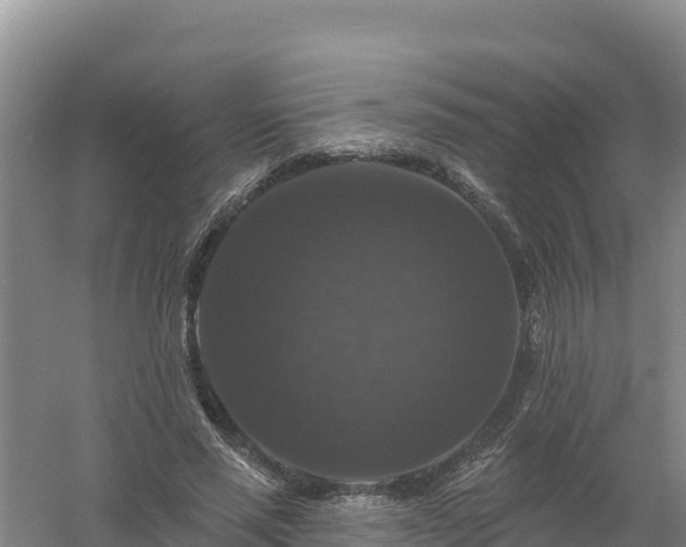 X0000058140637200509302020