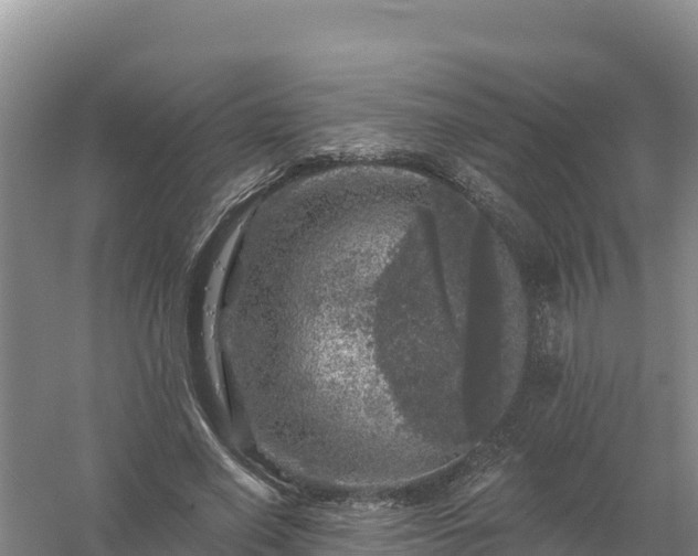 X0000058140638200509302020