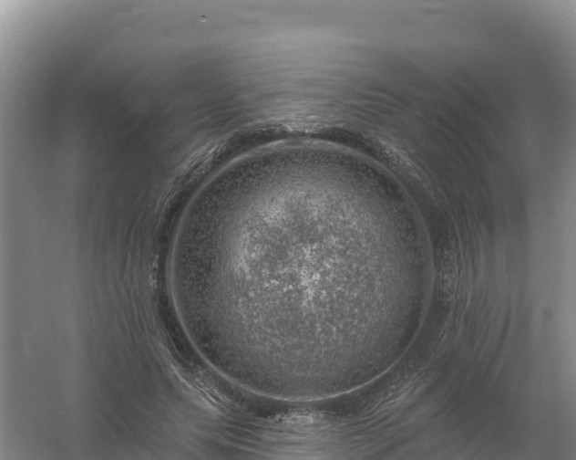 X0000058140639200509302020