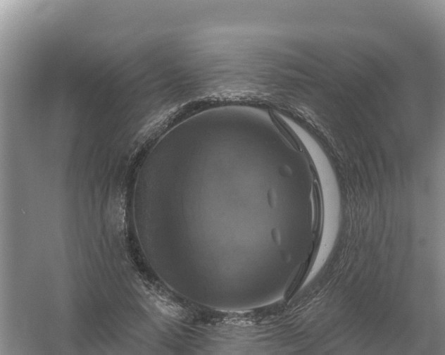 X0000058140640200509302020