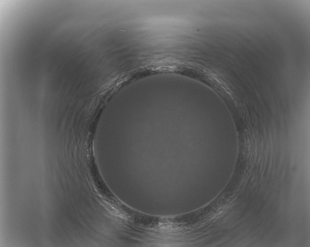 X0000058140641200509302020