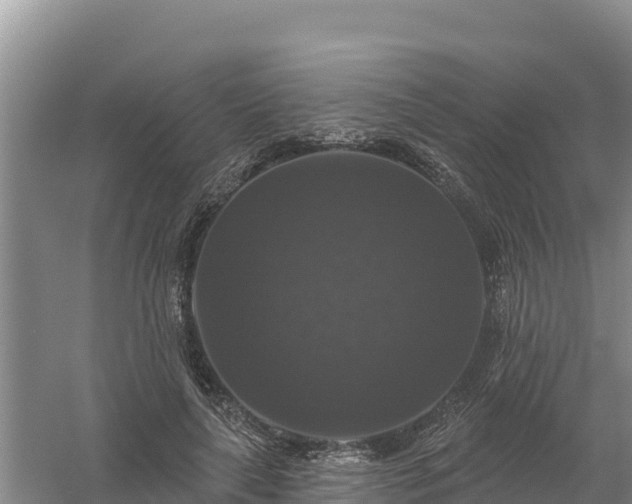 X0000058140643200509302020