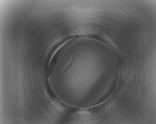 X0000058140644200509302020