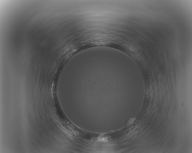 X0000058140647200509302020