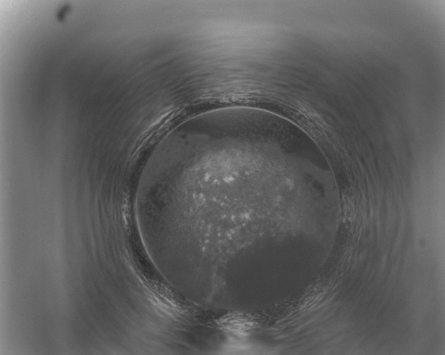 X0000058140648200509302020