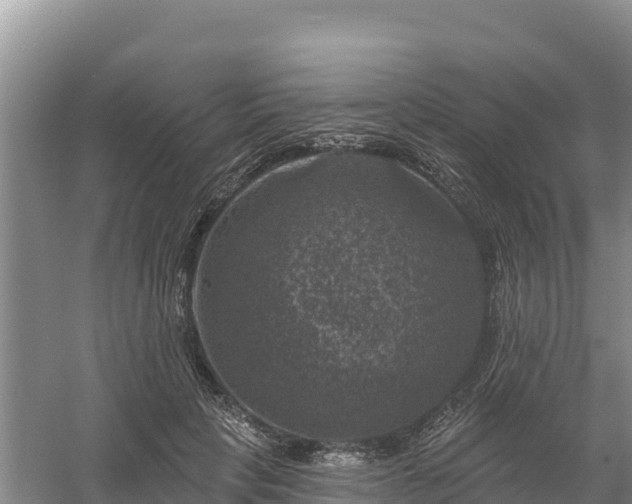 X0000058140649200509302020