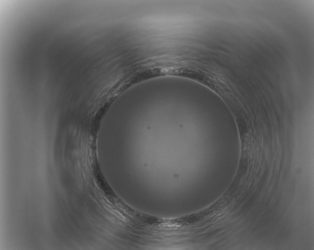 X0000058140650200509302020