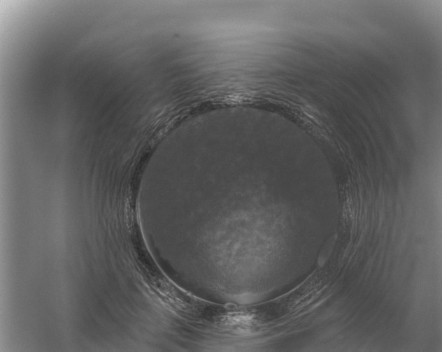 X0000058140651200509302020