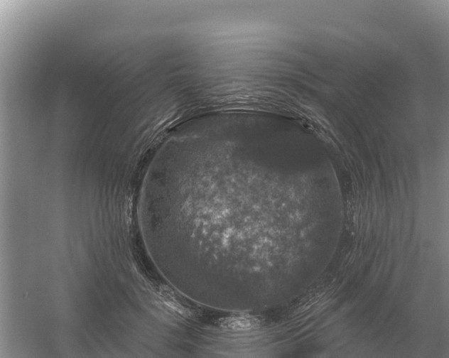 X0000058140652200509302020