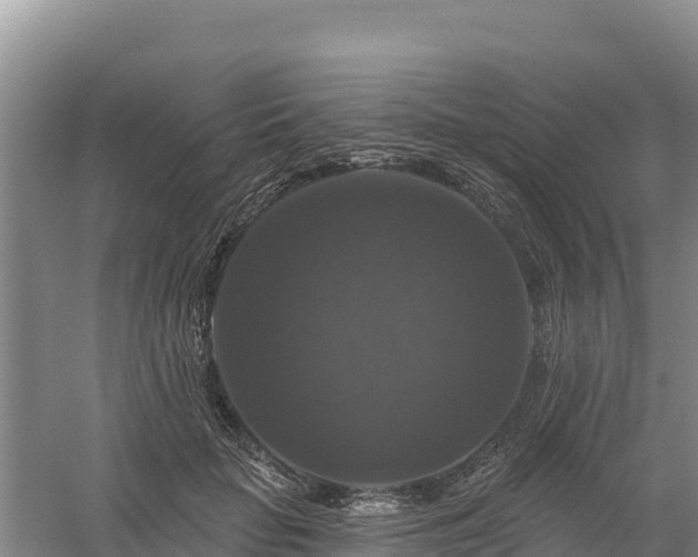 X0000058140653200509302020