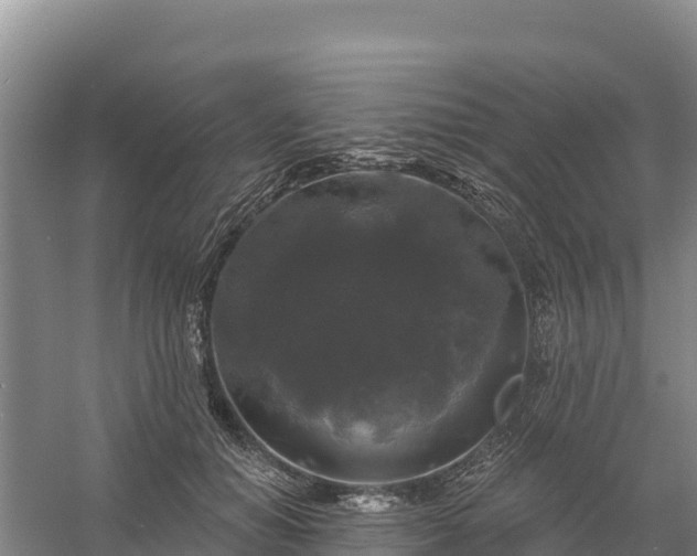 X0000058140654200509302020