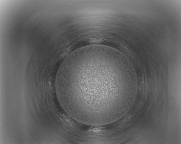 X0000058140655200509302020