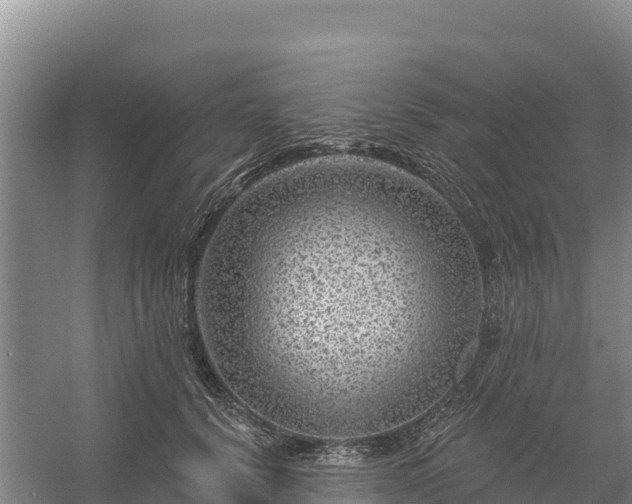 X0000058140656200509302020