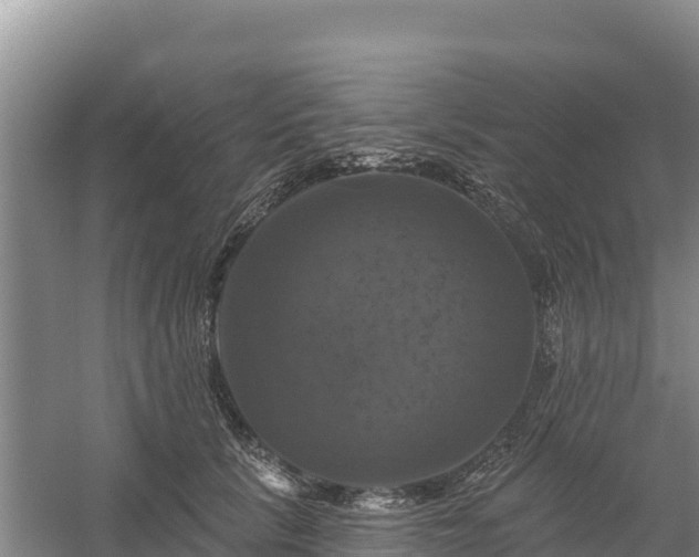 X0000058140657200509302020