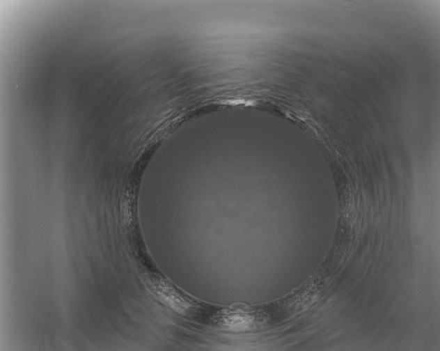 X0000058140658200509302020