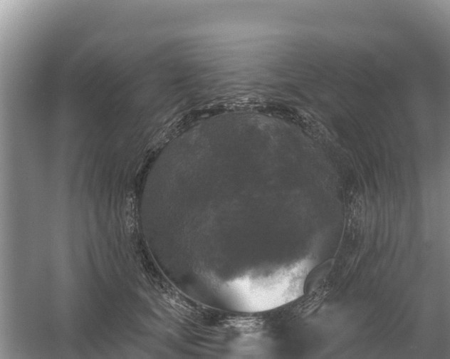 X0000058140659200509302020