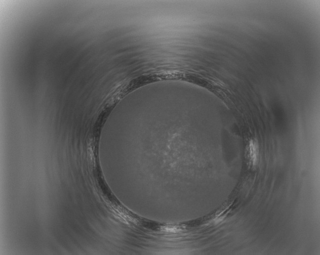 X0000058140662200509302020