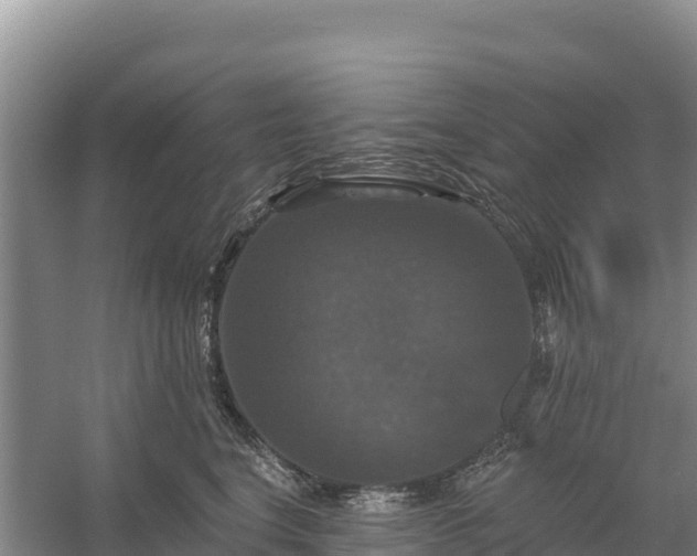 X0000058140664200509302020