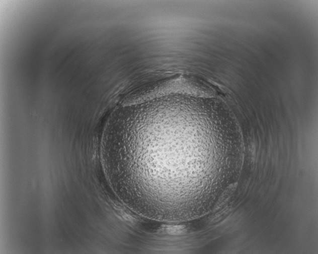 X0000058140665200509302020