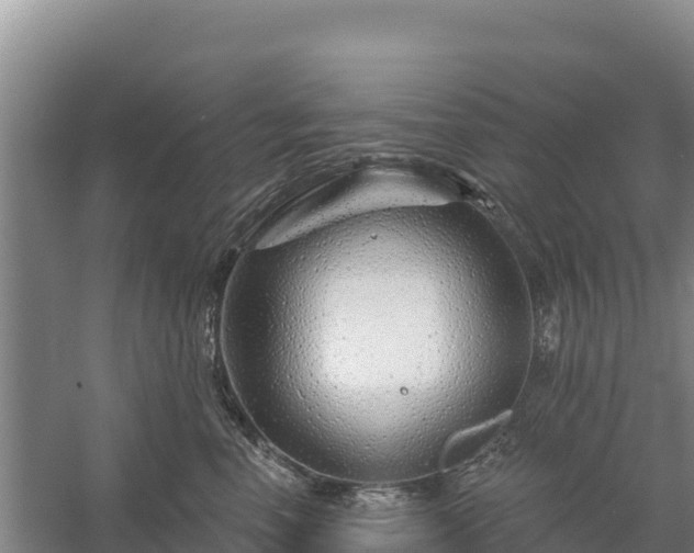 X0000058140666200509302020