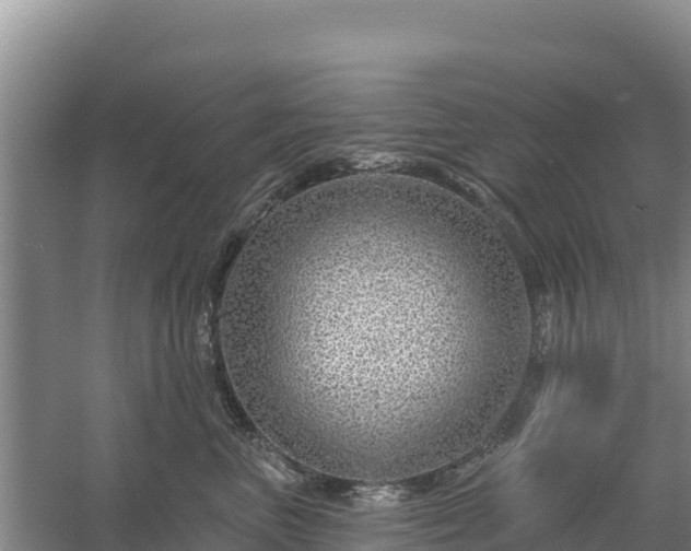 X0000058140667200509302020