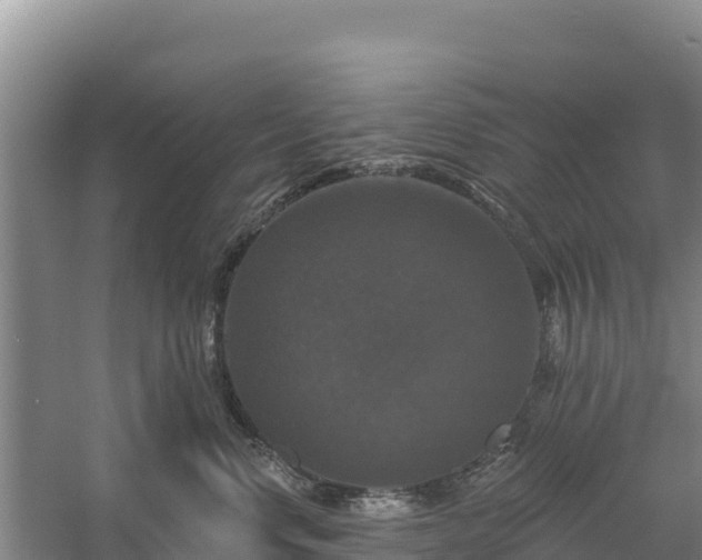 X0000058140668200509302020