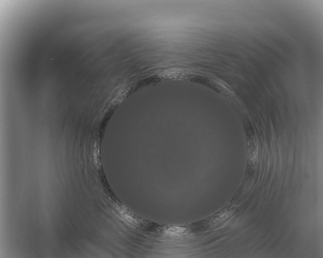 X0000058140669200509302020