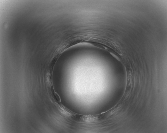 X0000058140670200509302020