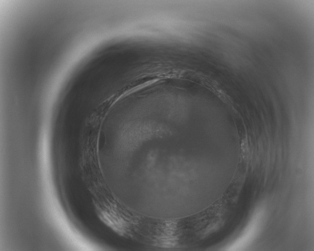 X0000058140671200509302020