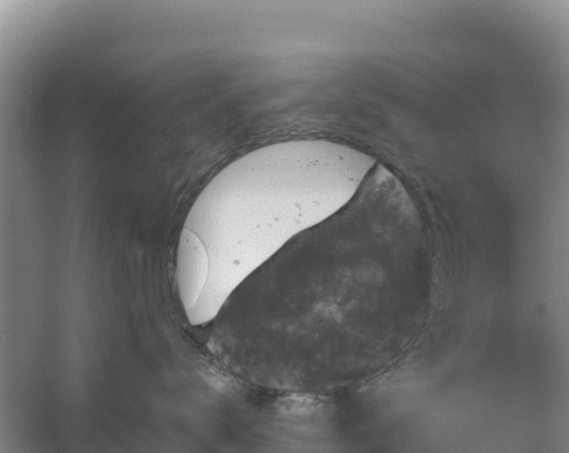 X0000058140672200509302020