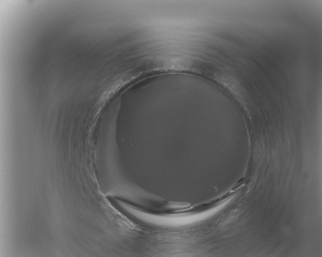 X0000058140673200509302019