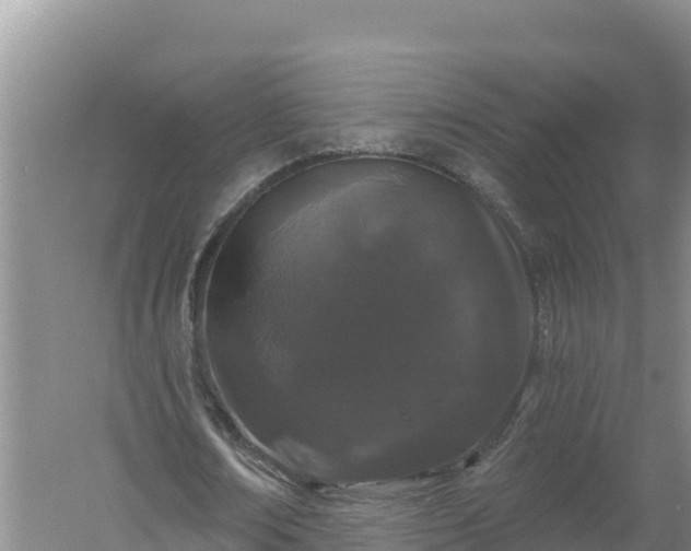 X0000058140674200509302019