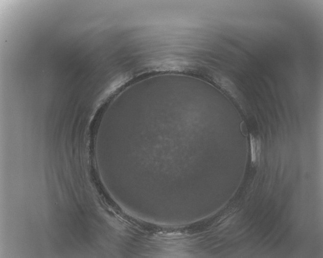 X0000058140675200509302019