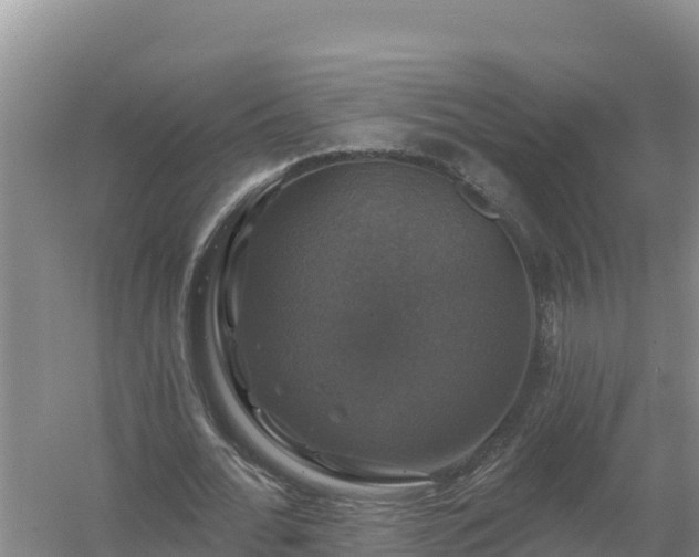 X0000058140676200509302019