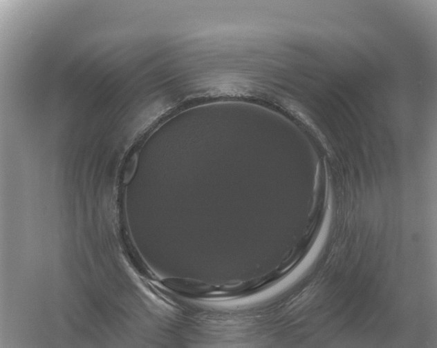 X0000058140677200509302019