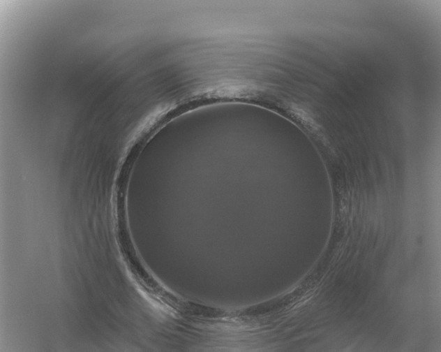 X0000058140678200509302019