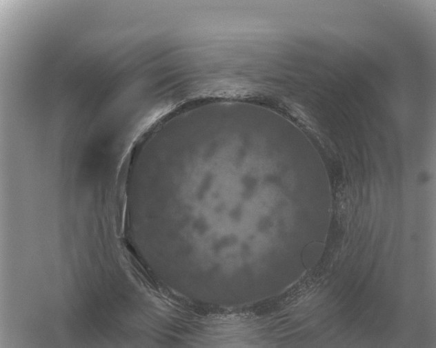 X0000058140679200509302019