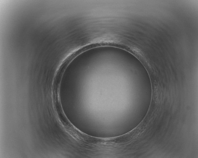 X0000058140680200509302019