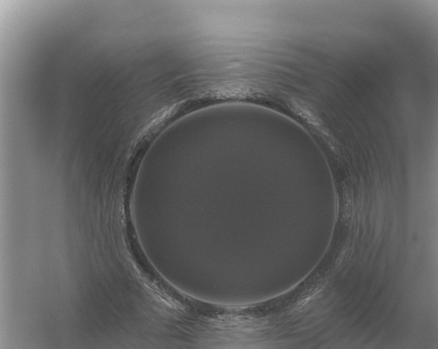 X0000058140681200509302019