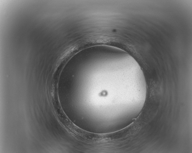 X0000058140683200509302019