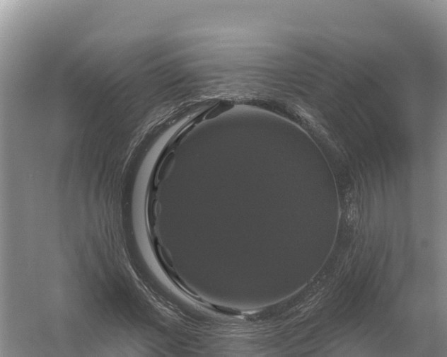 X0000058140685200509302019