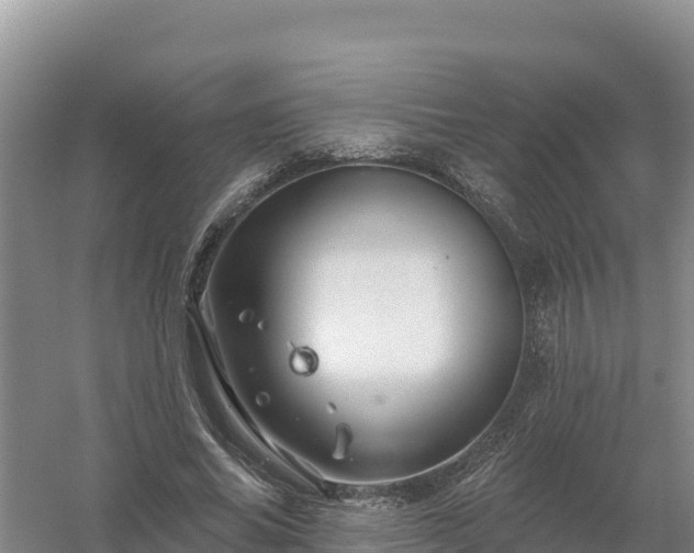 X0000058140686200509302019