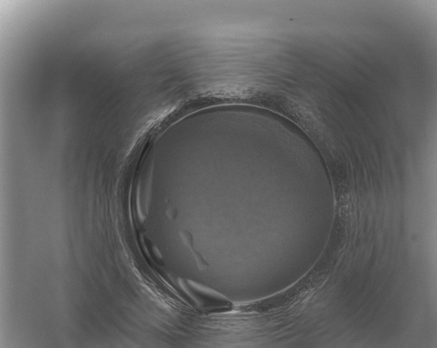 X0000058140688200509302019