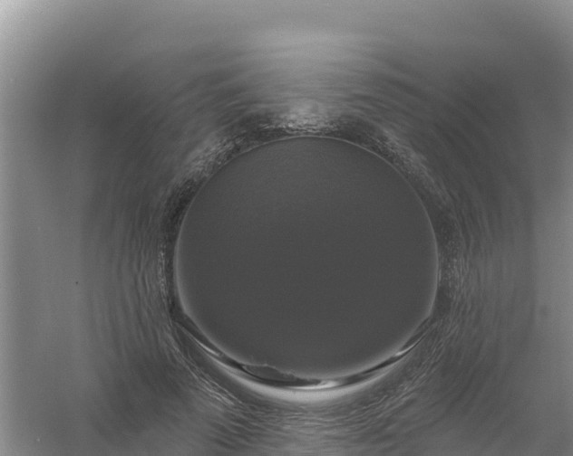 X0000058140689200509302019